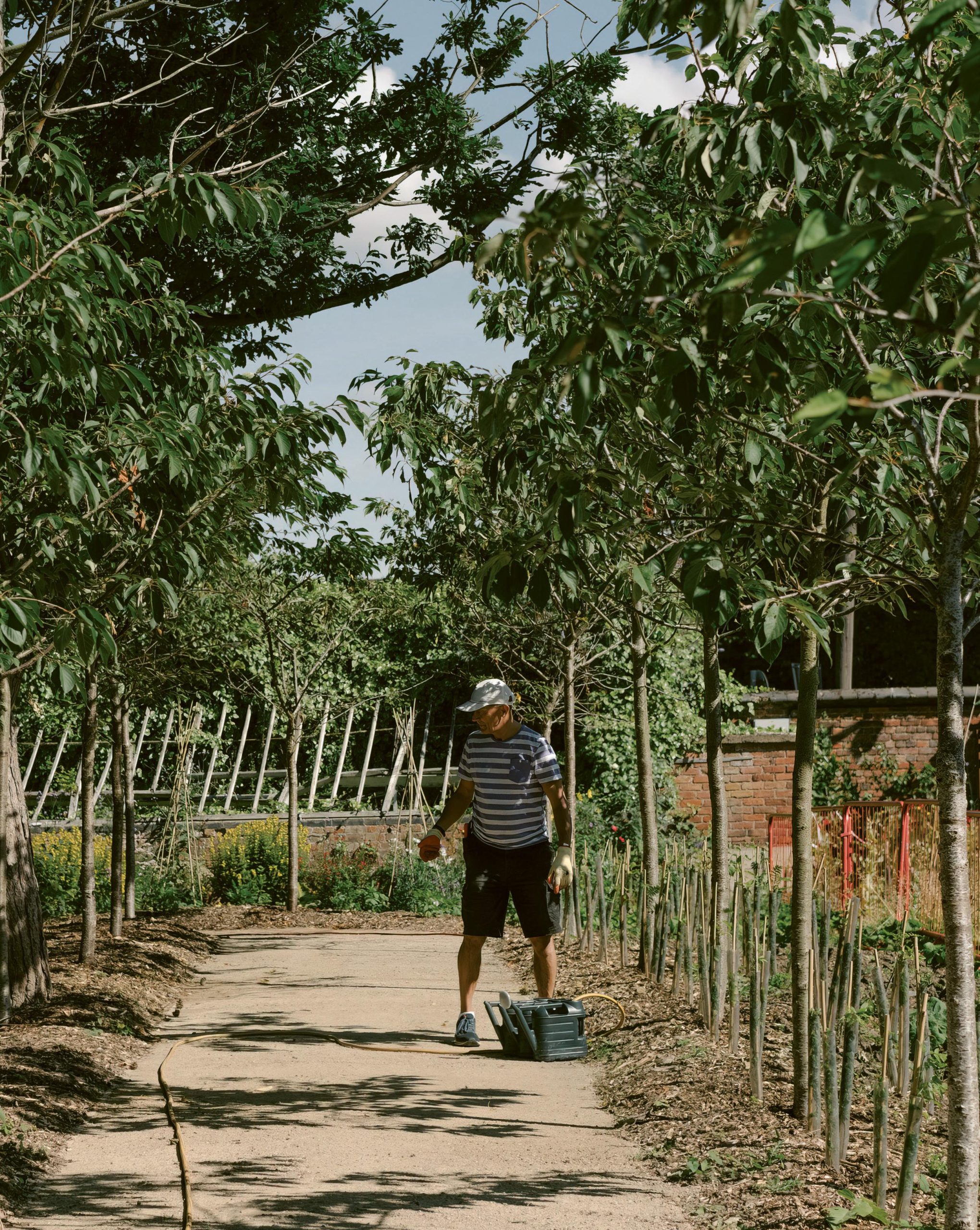 Gardening as Art Cultivating Green Spaces for Creativity Well-Being