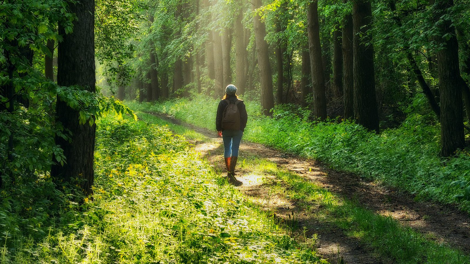 Hiking and Meditation: The Connection between Nature and Creativity
