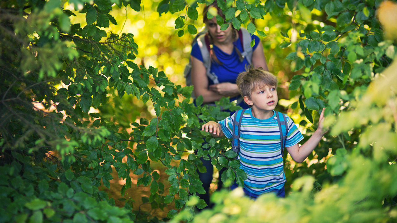 Sound Walks: Creating Music Inspired by the Sounds of Nature
